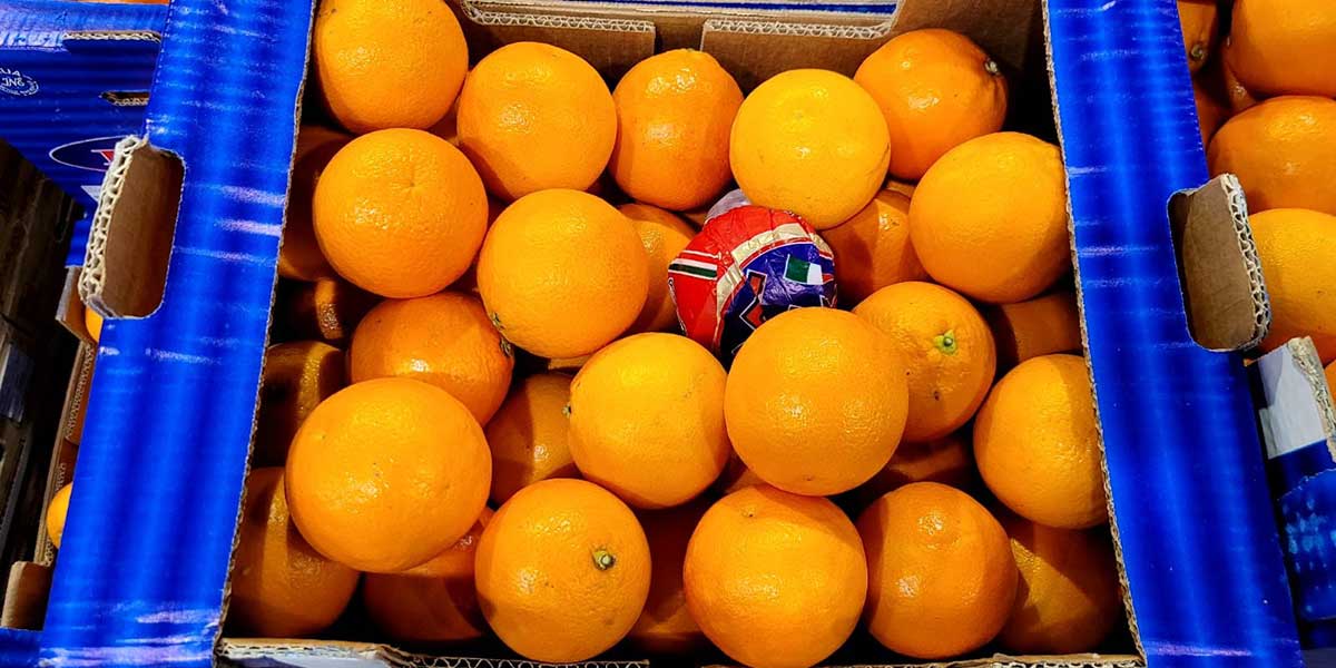 Agrumi d’importazione in ascesa: arance e limoni trainano i listini